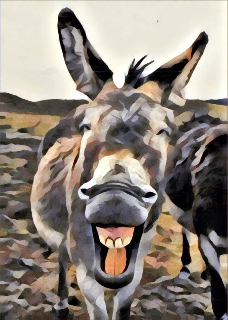 A donkey laughing at the camera. He must be reading this blog!